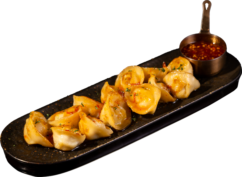 Appetizer Pan-Fried Beef Dumplings